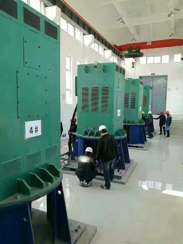 国营东兴农场某污水处理厂使用我厂的立式高压电机安装现场
