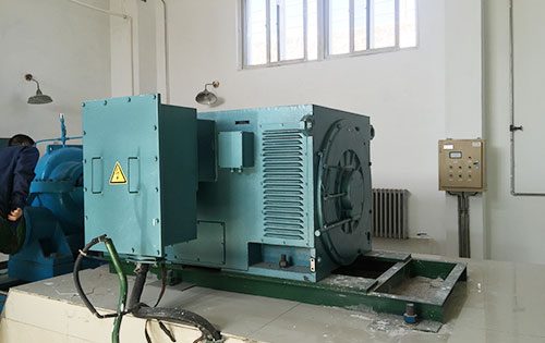 国营东兴农场某水电站工程主水泵使用我公司高压电机